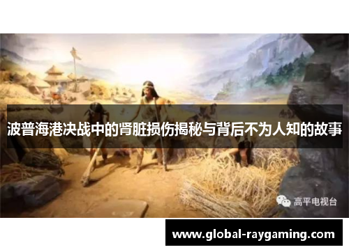 波普海港决战中的肾脏损伤揭秘与背后不为人知的故事