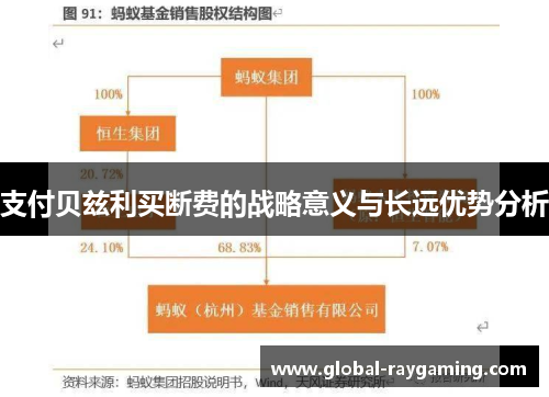 支付贝兹利买断费的战略意义与长远优势分析